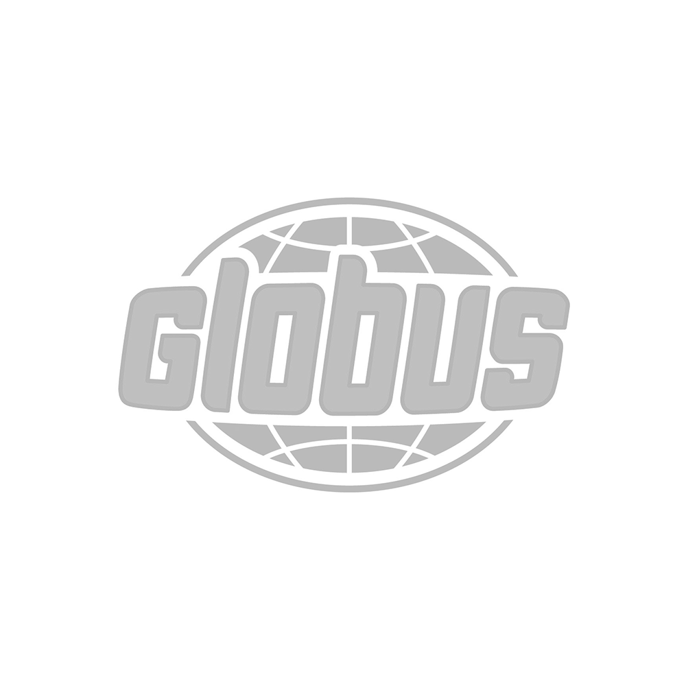 GS-03-globus